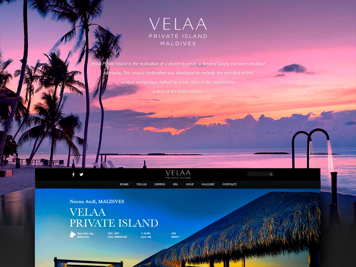 Portfolio Website Designs Olga Maksymova